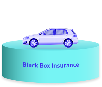Black Box Insurance